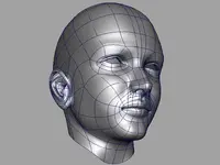 head12.webp