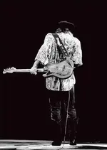Stevie.webp