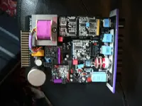 purple.webp
