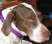 Claire CD Picture.webp