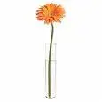 flower tube.webp