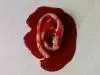 ear.webp