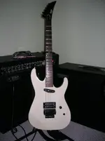 DSCN1937.webp