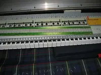 17.webp