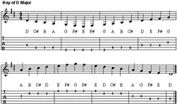 rd_shps_1st_pos_d_maj_tab.webp