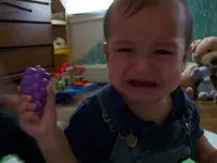 Sour Grapes.webp