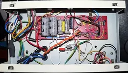 epiguts.webp