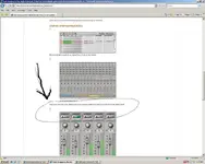 gain.webp