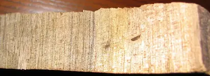 shiny wood_1_1.webp