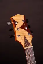 DJguitarheadstockfront.webp
