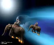 Elephants in Space.webp