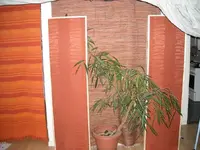 DSCN0063.webp