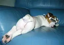 just sexy.webp
