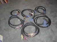 SNAKES.webp