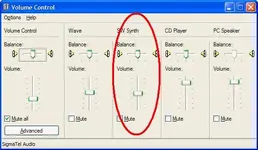 Synth Vol.webp