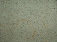 DSCF3495.webp