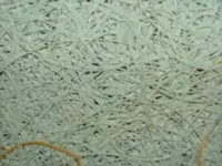 DSCF3496.webp