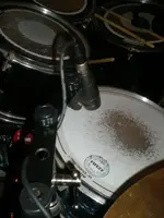 DSCN5898.webp