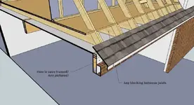 Eave framing question.webp