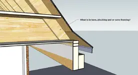 Eave framing question 2.webp