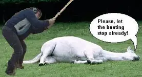 Beat_Dead_Horse.webp