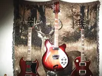 marilyns and rickenbacker 038.webp