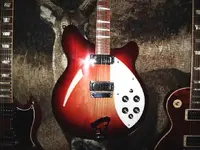 marilyns and rickenbacker 035.webp