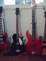bass2.webp