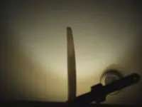 bone saddle 002.webp