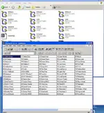 working bank.webp