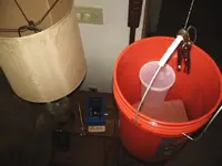 string experiment 001.webp