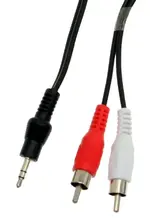SS-6FT-1F2RCA.webp