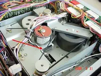 244capstanbelt.webp