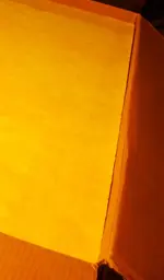 PA240058.webp
