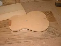 mold.webp