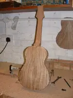 takingshape.webp