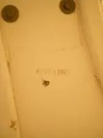 DSCN7280.webp