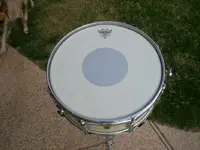 DSCN7296.webp
