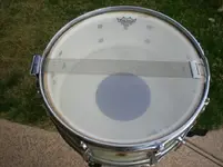 DSCN7300.webp