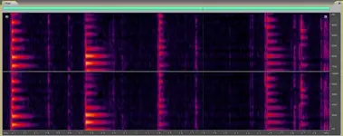 02 Anglaise smp pst 100NR.webp