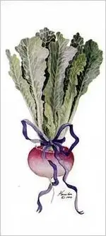 turnip.jpg.webp