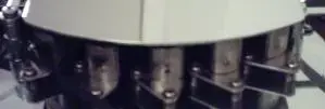 heads.webp