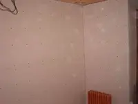 im000437.webp