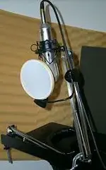 mic.webp