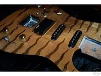 guitarpic1.webp