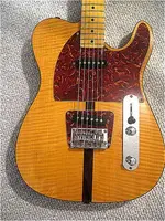 Hohner Tele body.webp