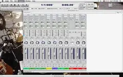 the newbie.webp