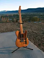tele-sunset3.webp