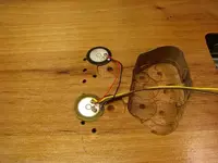 piezo1.webp