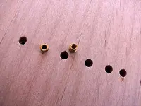 ferrules.webp